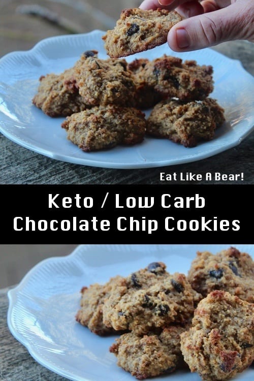 Low Carb Chocolate Chip Cookies (Keto)
